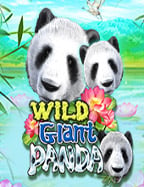 เทคนิคแทงบอลราคาดี ช่วยเพิ่มโอกาสชนะ